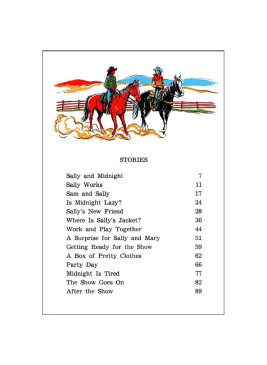 Cowboy Sam E-book collection