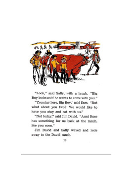 Cowboy Sam E-book collection