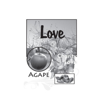 Level 6- Living the Fruitful Life Curriculum- Digital