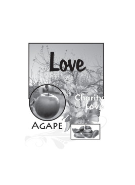 Level 6- Living the Fruitful Life Curriculum- Digital