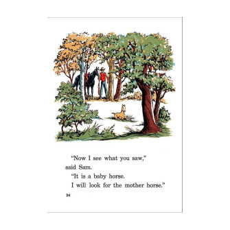 Cowboy Sam E-book collection