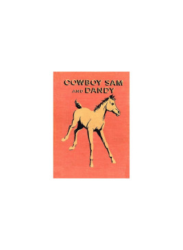 Cowboy Sam E-book collection