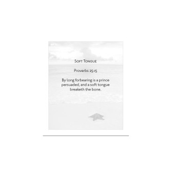 Level 7- Words of Wisdom Curriculum