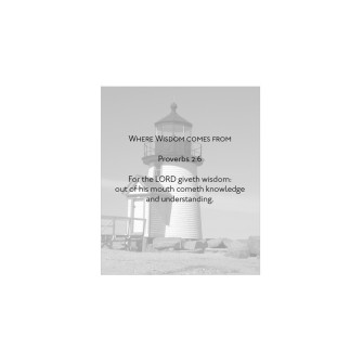 Level 8- Power in Proverbs Bible Curriculum