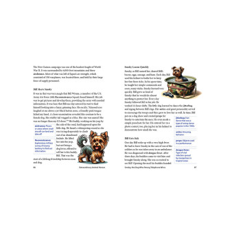 Extraordinary Animal Heroes