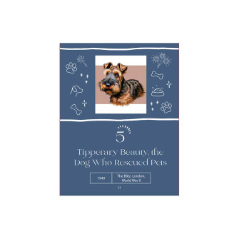 Extraordinary Animal Heroes