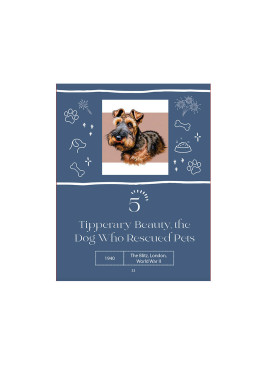 Extraordinary Animal Heroes