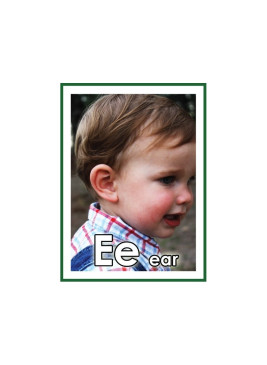 Level 1- Preschool - Kindergarten Character Curriculum