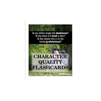 Making Wise Choices Digital Flashcards