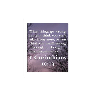 Making Wise Choices Digital Flashcards