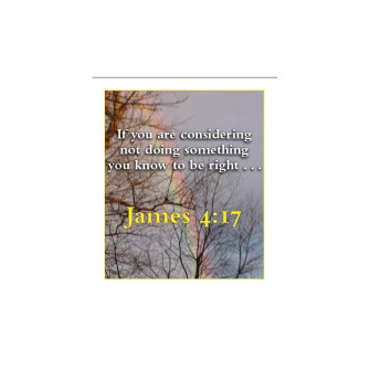 Making Wise Choices Digital Flashcards