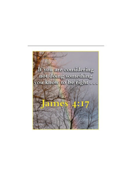 Making Wise Choices Digital Flashcards