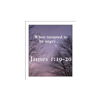 Making Wise Choices Digital Flashcards