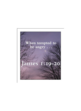 Making Wise Choices Digital Flashcards