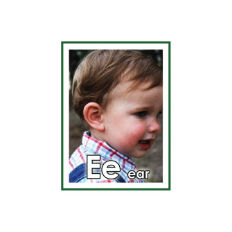 Level 1 Preschool- Kindergarten Curriculum Digital