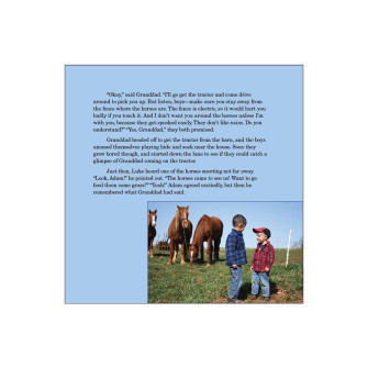 Level 1 Preschool- Kindergarten Curriculum Digital