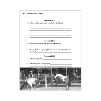 Proverbs People Book 1 and Book 2 Digital