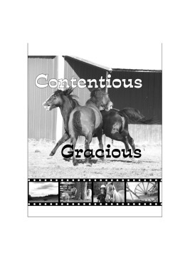 Level 4- Proverbs People Collection